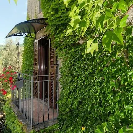 Guest House: Casa Dei Lilla Bellegra